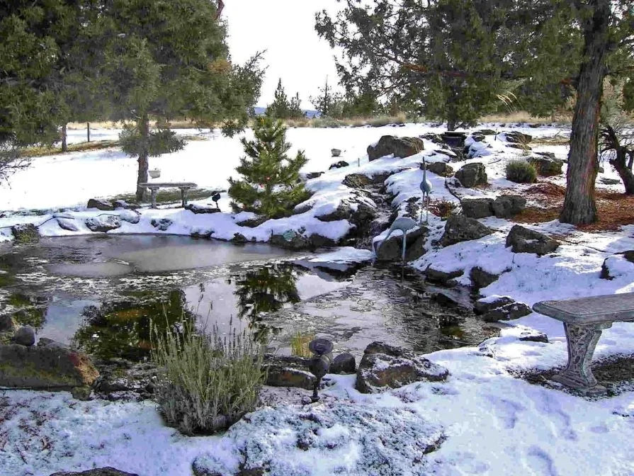 Should You Run Your Koi Pond Pump During Winter?