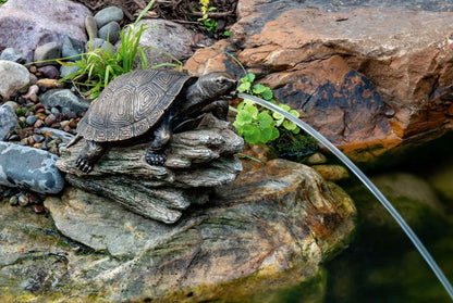 Aquascape Turtle On A Log Spitter