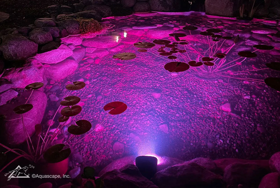 Aquascape 11-Watt Color-Changing Wide Angle Light